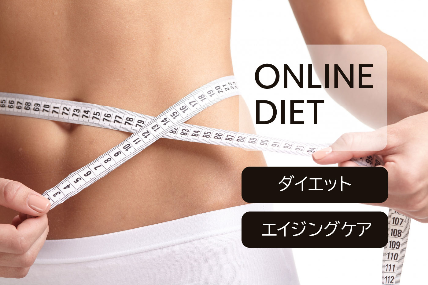 ONLINE DIET